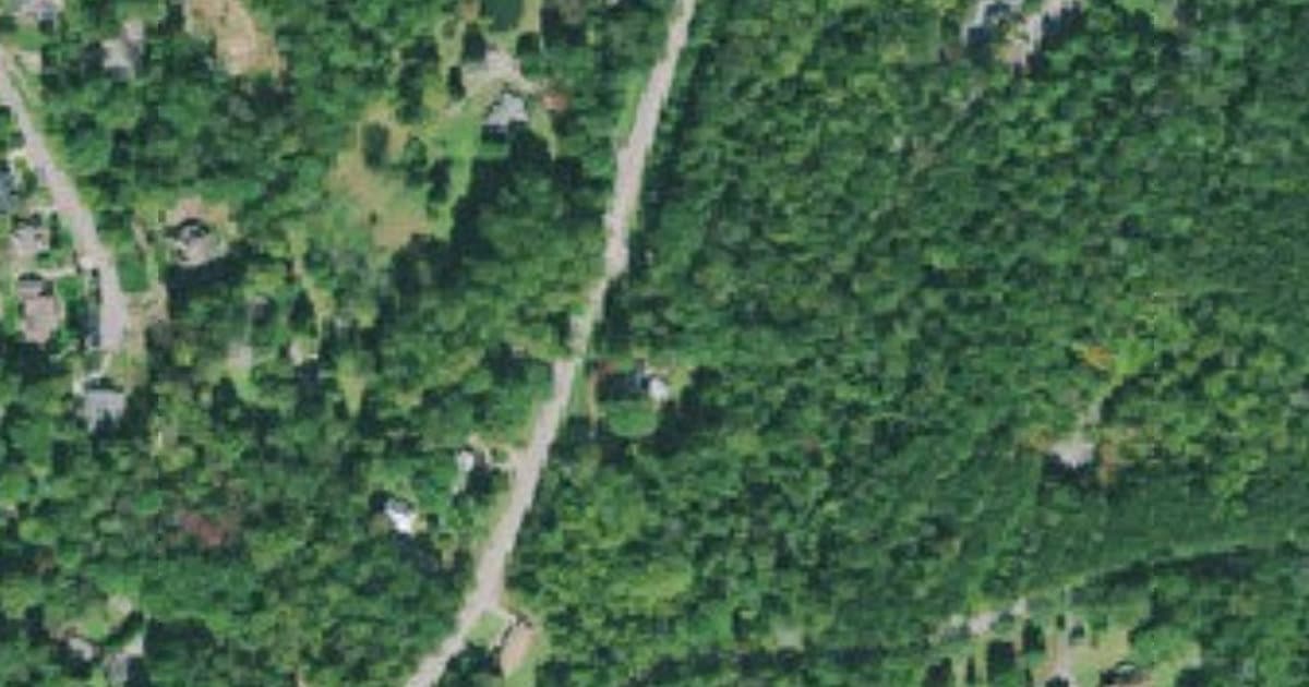 The Puppy Patch dog park in Walden, TN