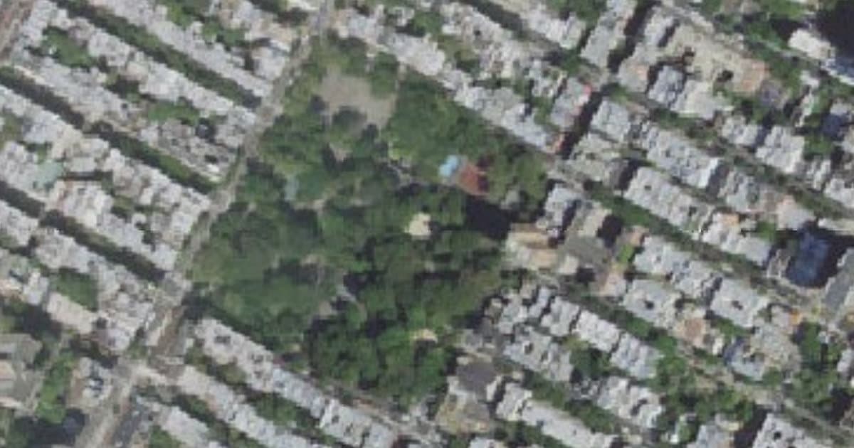 Tompkins Square Dog Run dog park in New York, NY — photo 4