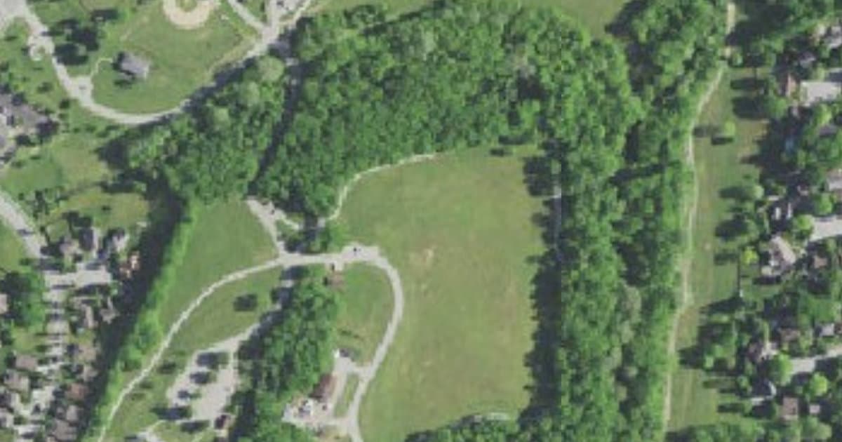 Veterans Park dog park in Lexington, KY