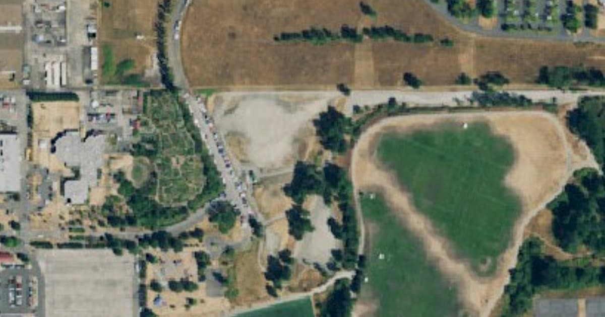 Warren G. Magnuson Park Off-Leash Dog Area dog park in Seattle, WA — photo 2