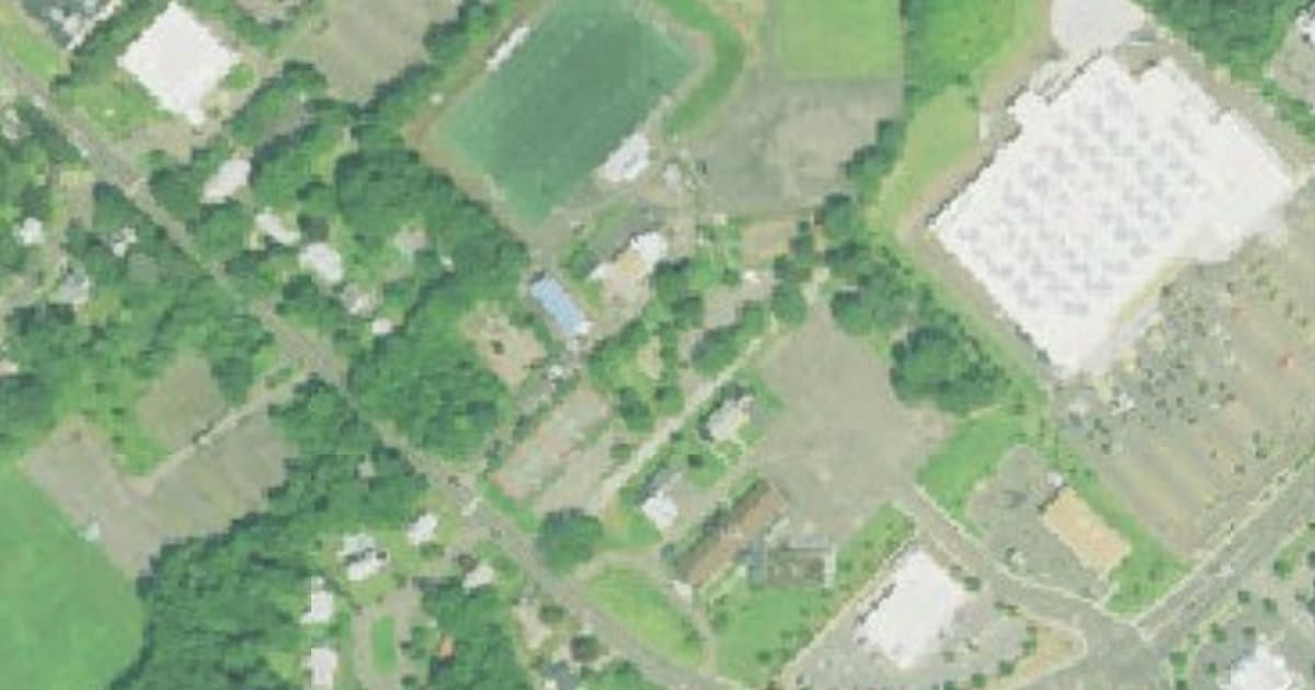 West Haven Dog Park dog park in West Haven, CT