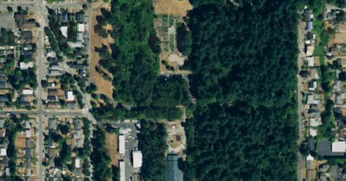 Westcrest Park Off-Leash Area dog park in Seattle, WA