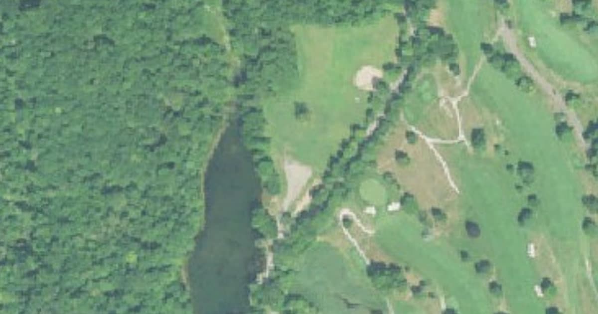 Youngs Pond Dog Run dog park in Branford, CT