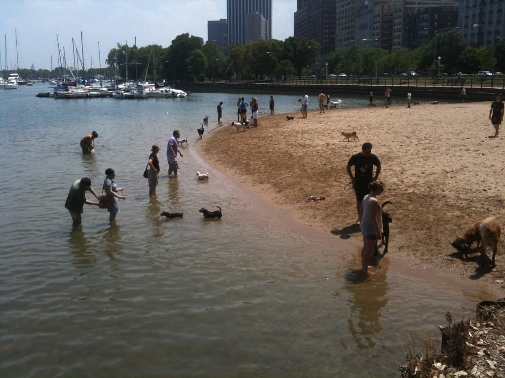 Belmont Harbor Dog Beach dog park in Chicago, IL