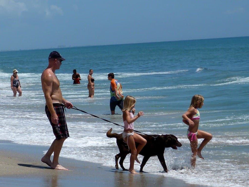 Canova Beach Park dog park in Indian Harbour Beach, FL