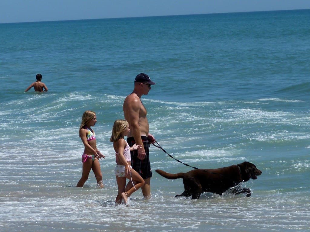 Canova Beach Park dog park in Indian Harbour Beach, FL — photo 2
