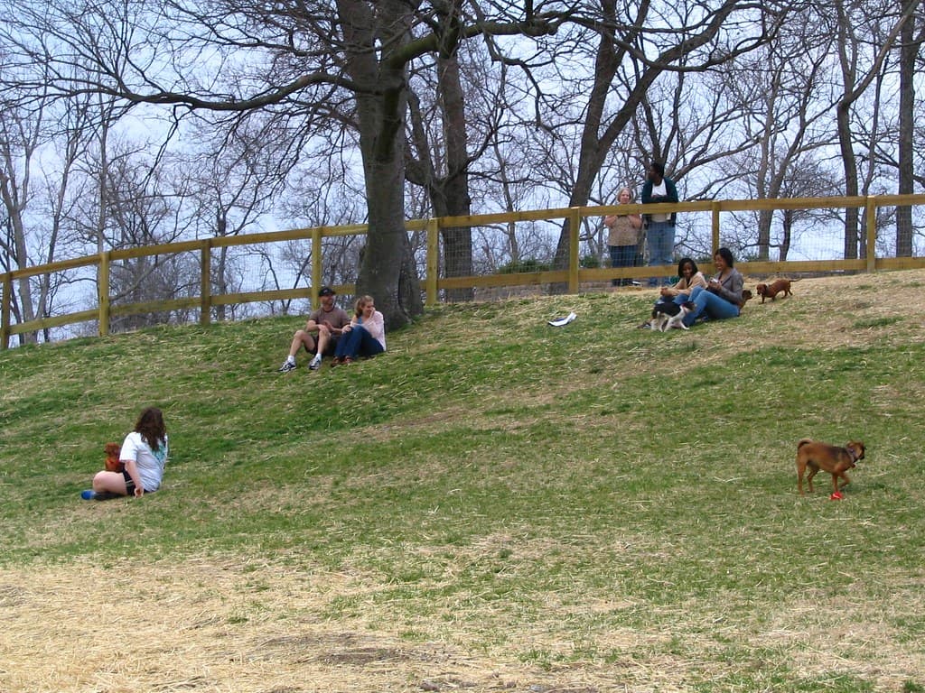 Centennial Dog Park dog park in Nashville, TN
