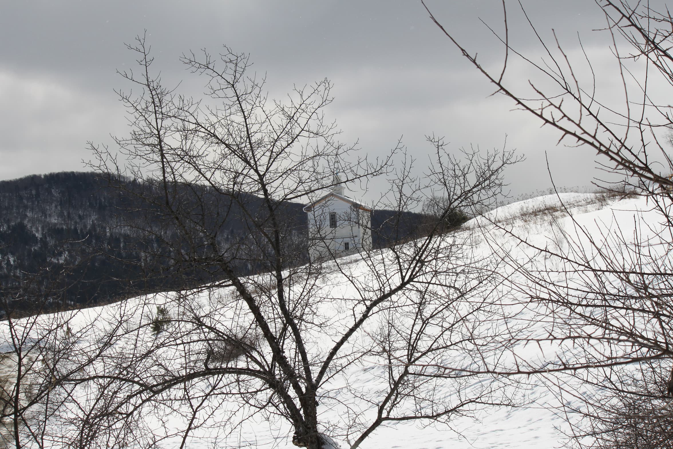 Dog Mountain dog park in St. Johnsbury, VT — photo 3