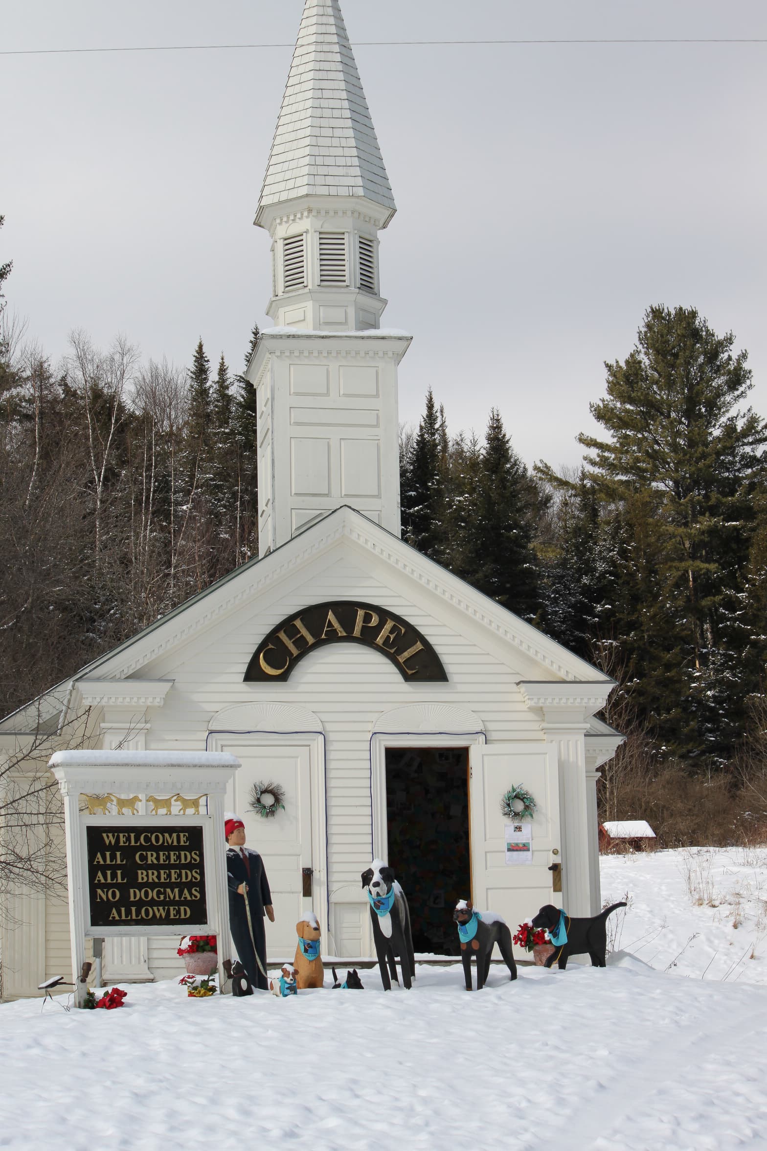 Dog Mountain dog park in St. Johnsbury, VT — photo 4