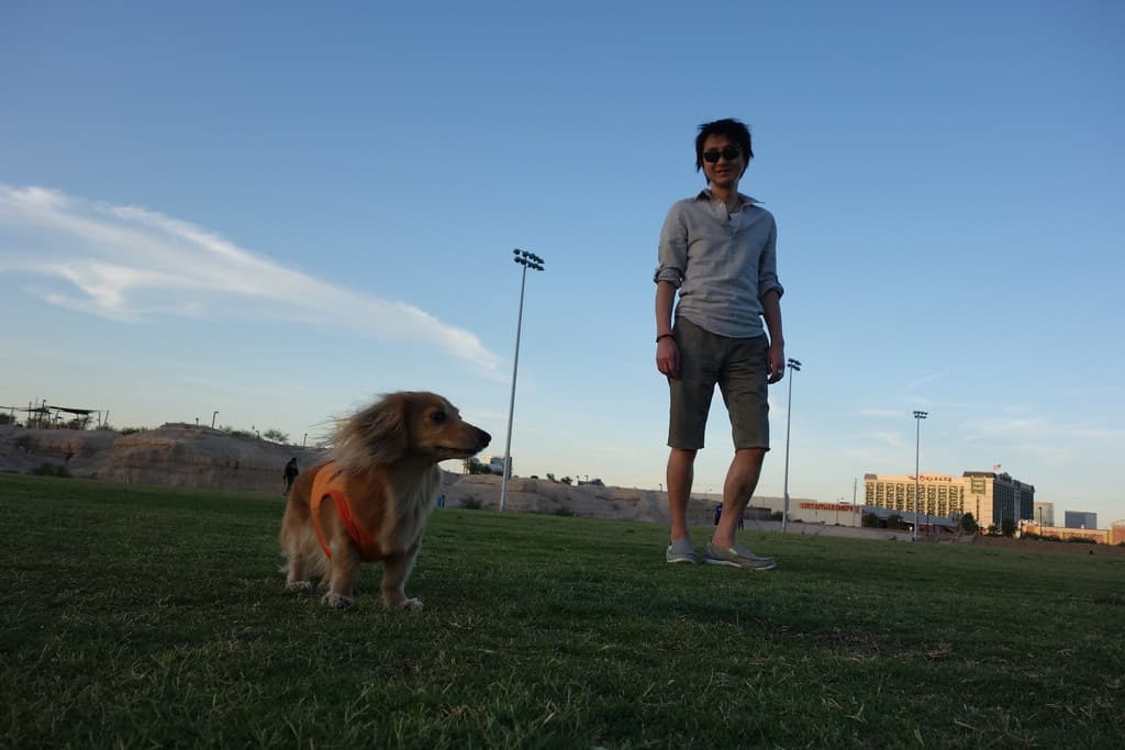 Dog Park at Charlie Frias Park dog park in Las Vegas, NV