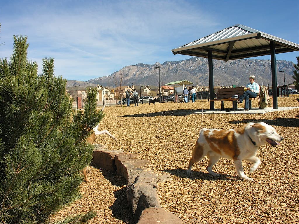 Dog Park at North Domingo Baca dog park in Albuquerque, NM