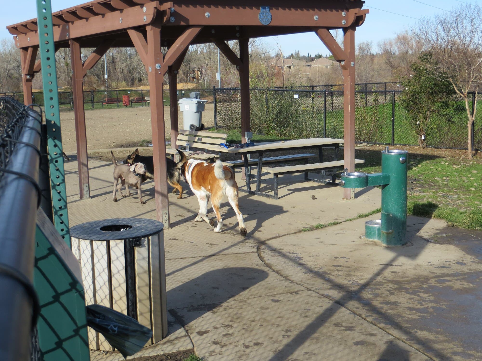 Folsom Dog Park dog park in Folsom, CA