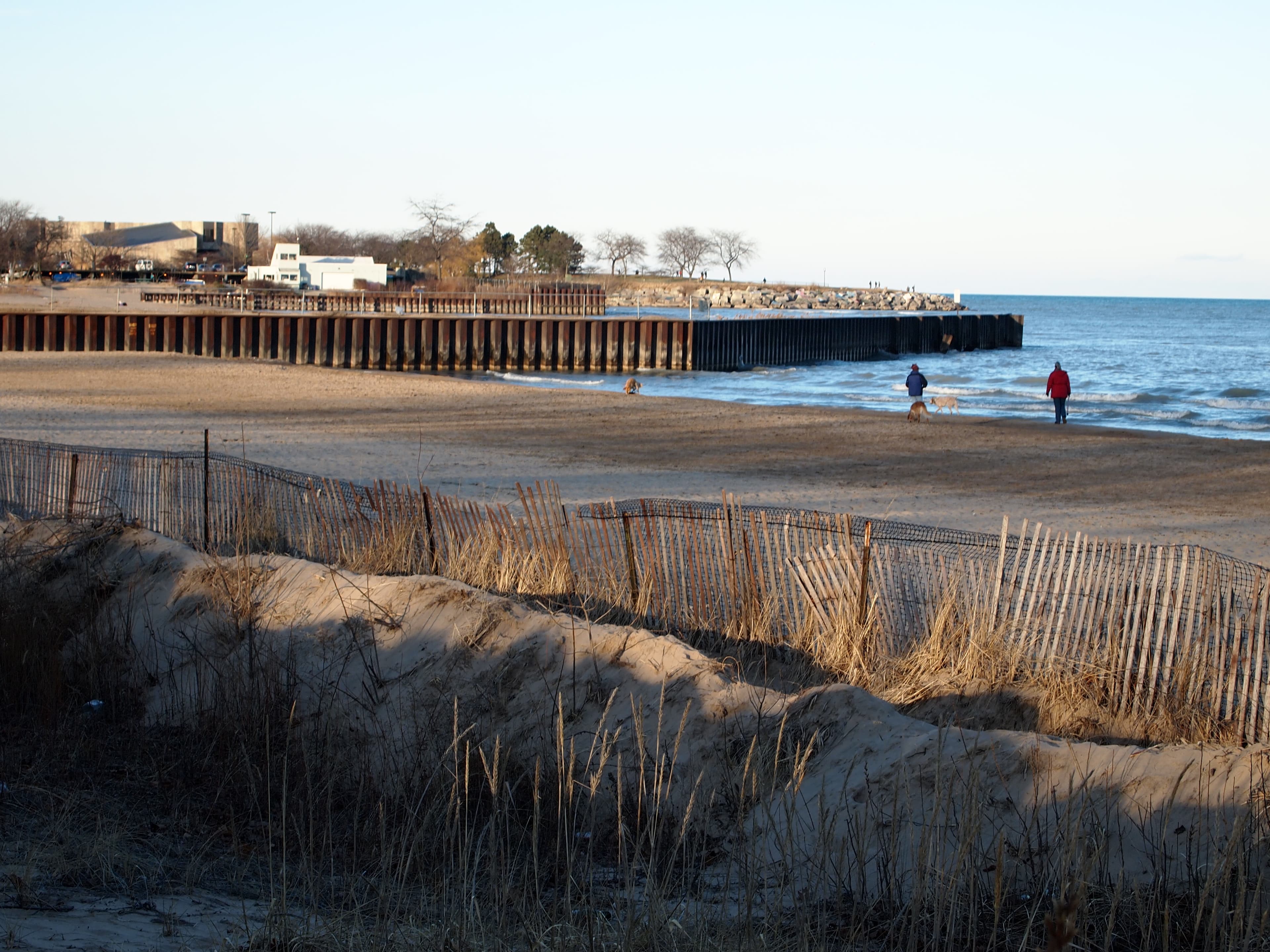 Evanston Dog Beach dog park in Evanston, IL