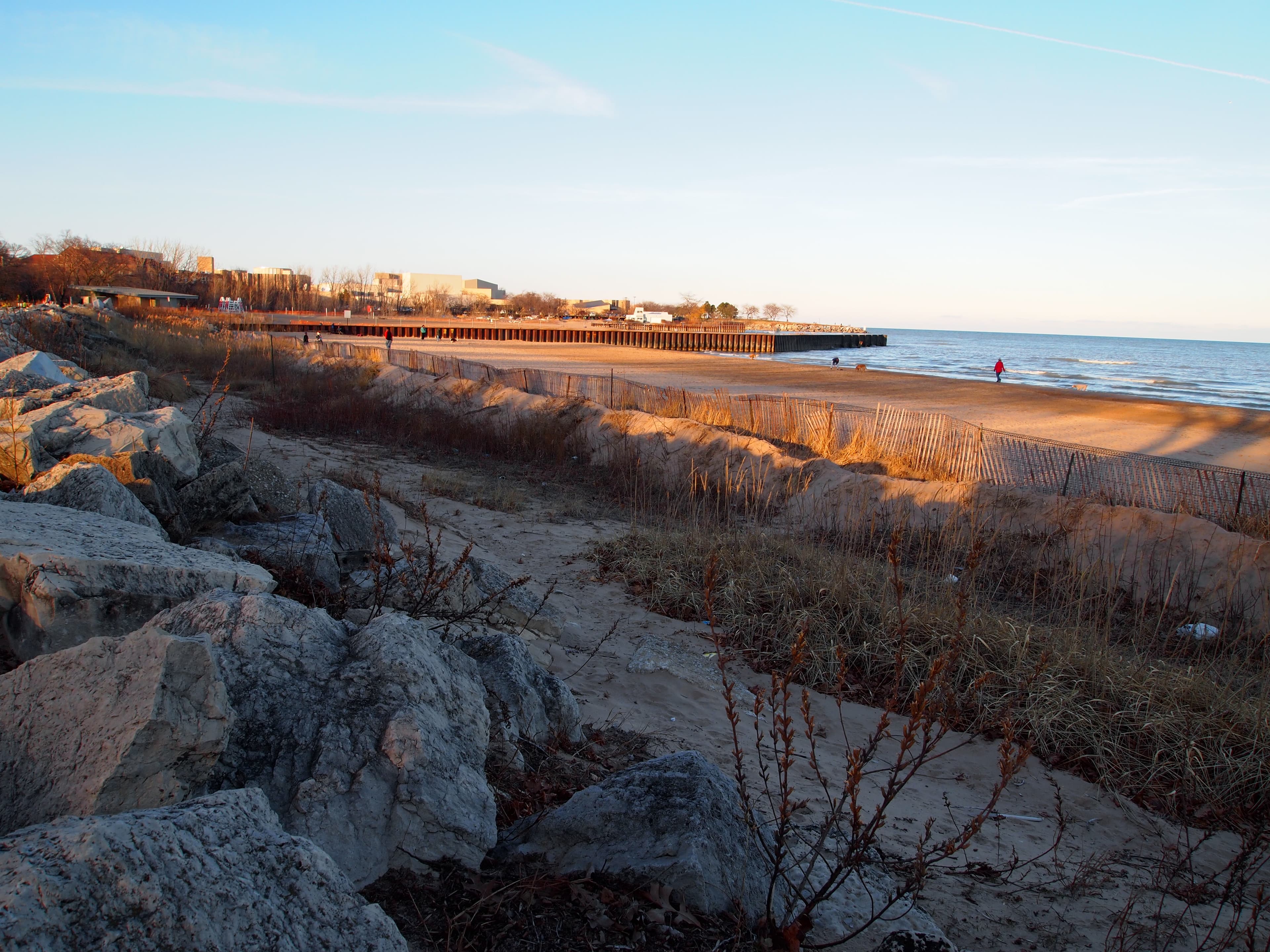Evanston Dog Beach dog park in Evanston, IL — photo 2