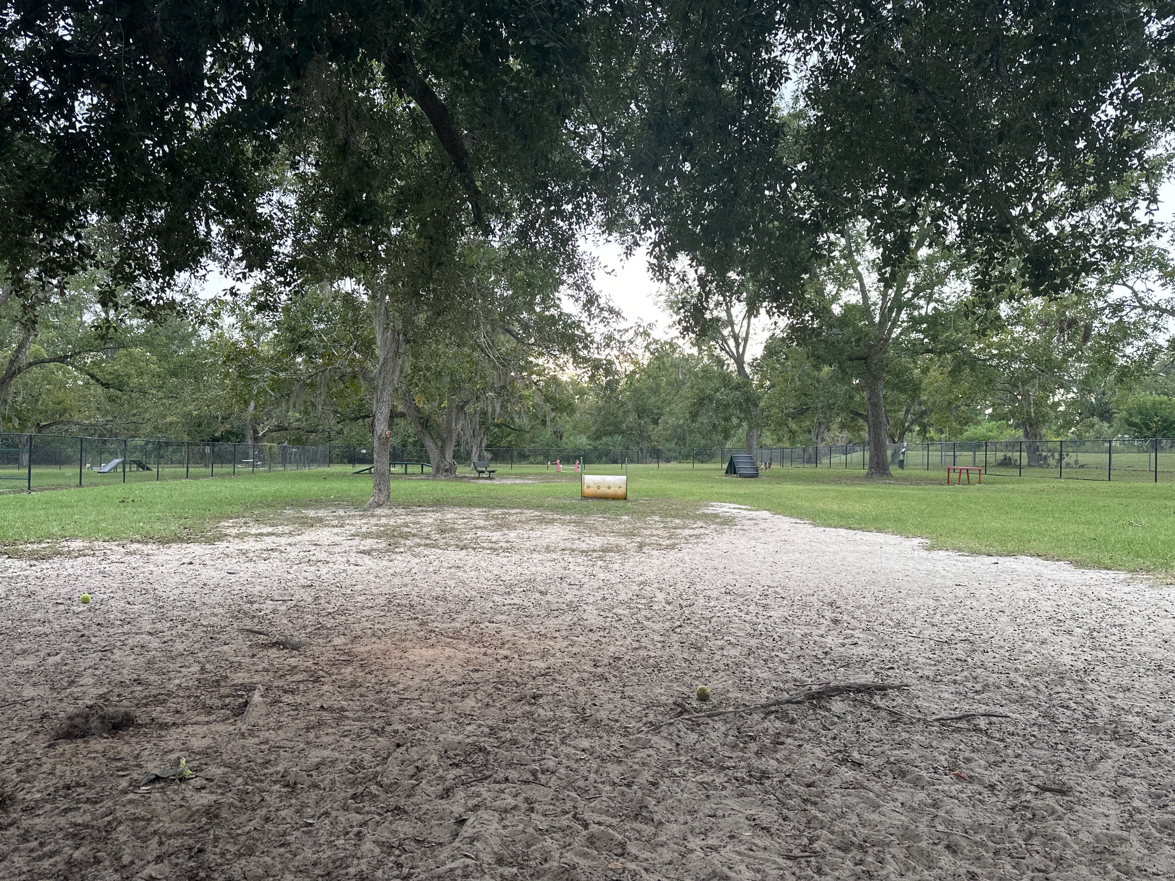 Freedom Park Dog Park dog park in Valdosta, GA — photo 3