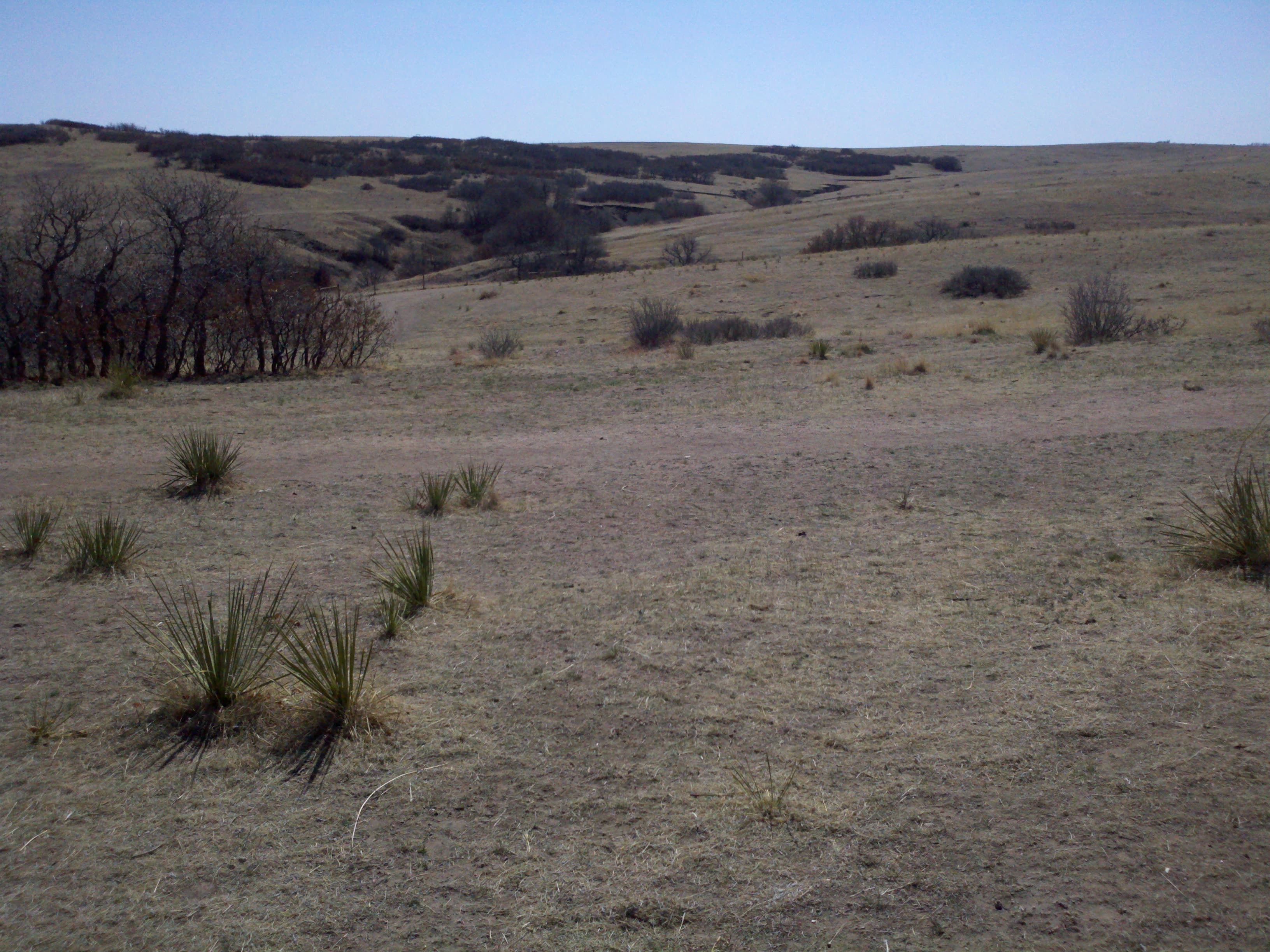 Glendale Open Space Dog Park dog park in Castle Pines, CO — photo 2