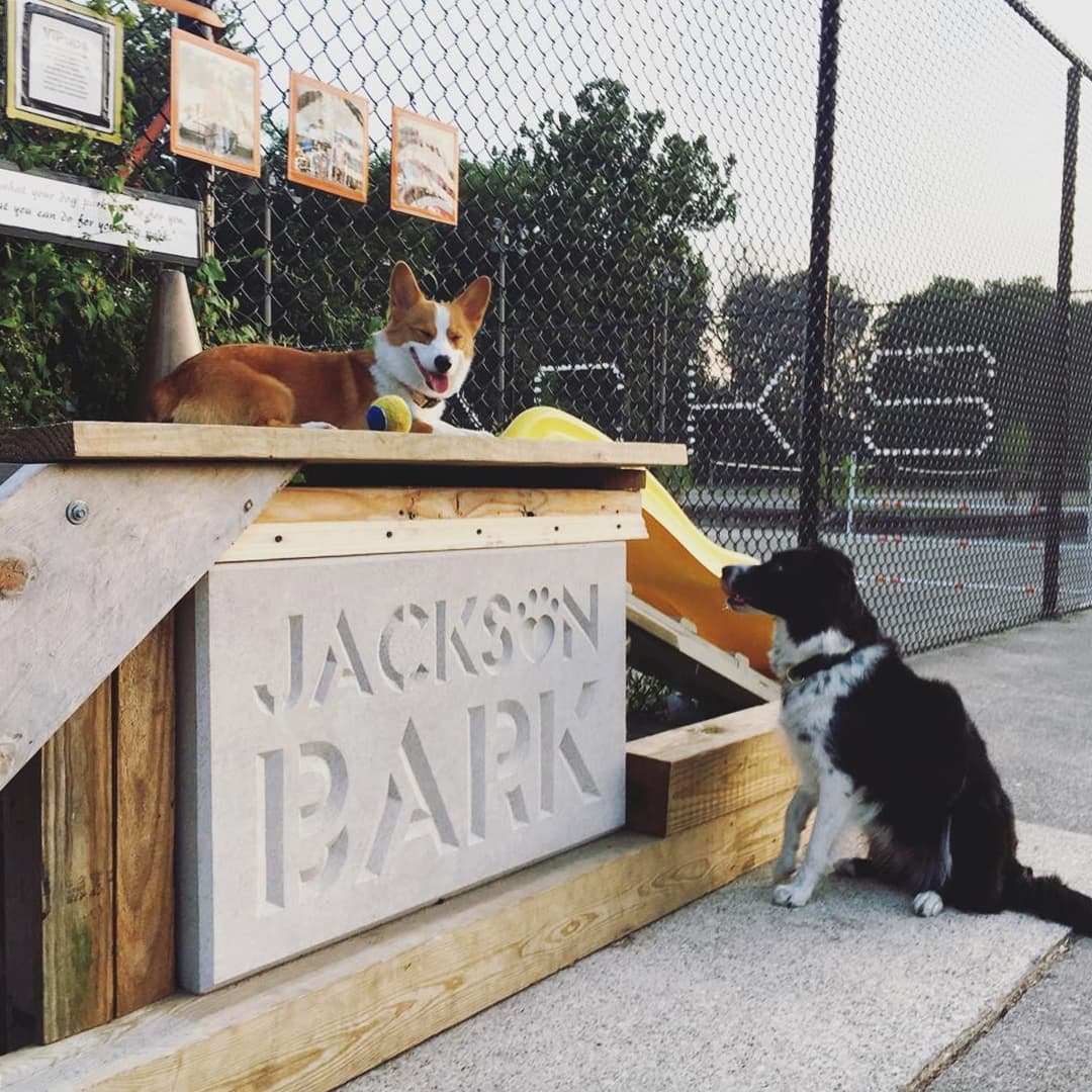 Jackson Bark dog park in Chicago, IL