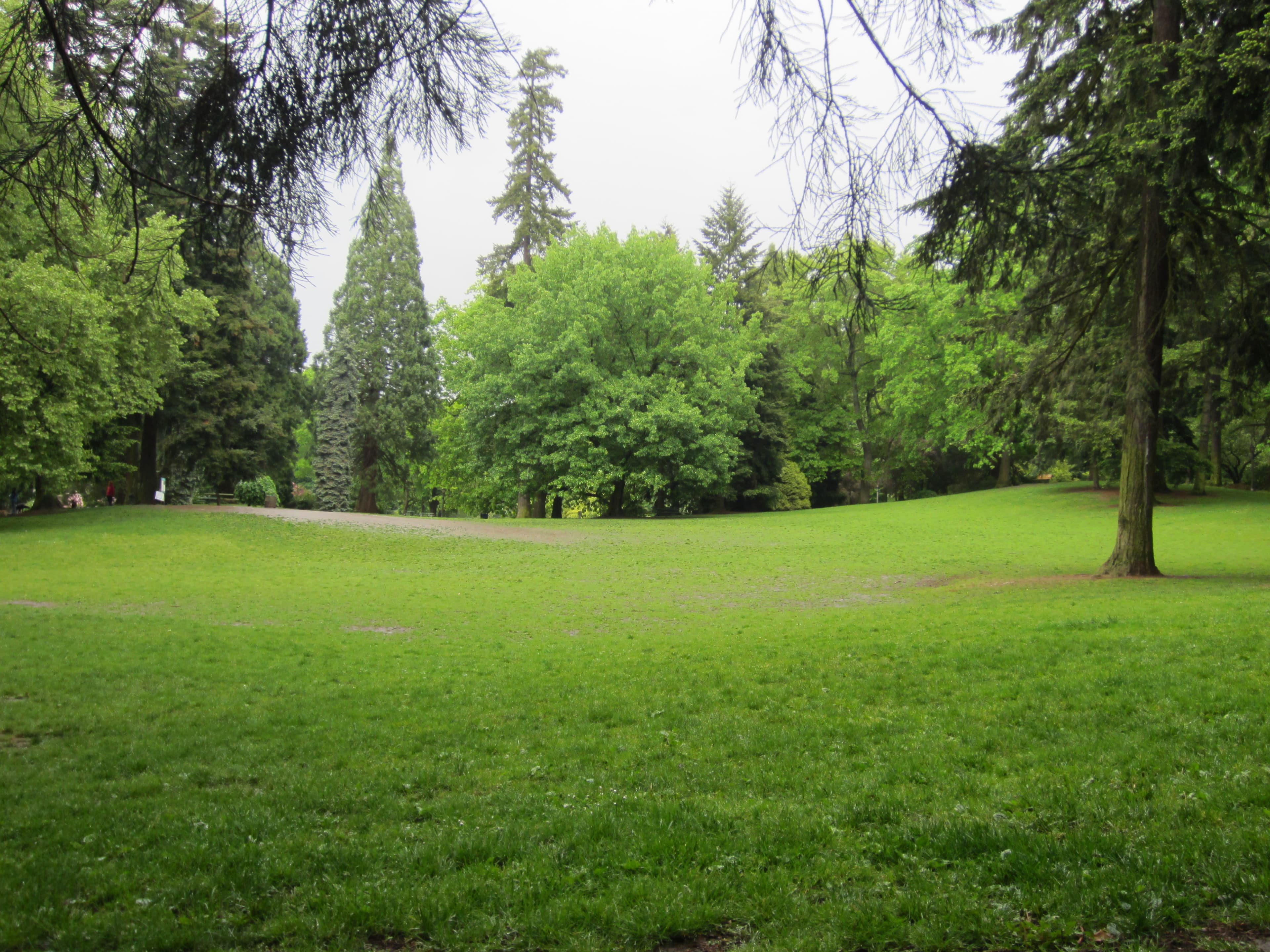 Laurelhurst Park Off Leash Area dog park in Portland, OR