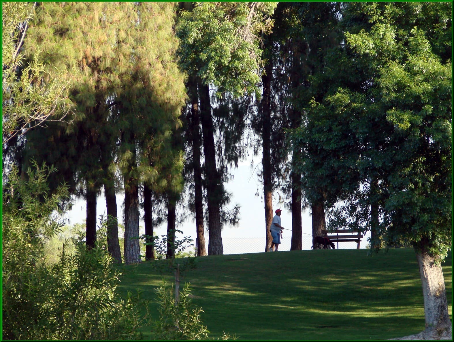 Redlands Dog Park dog park in Redlands, CA