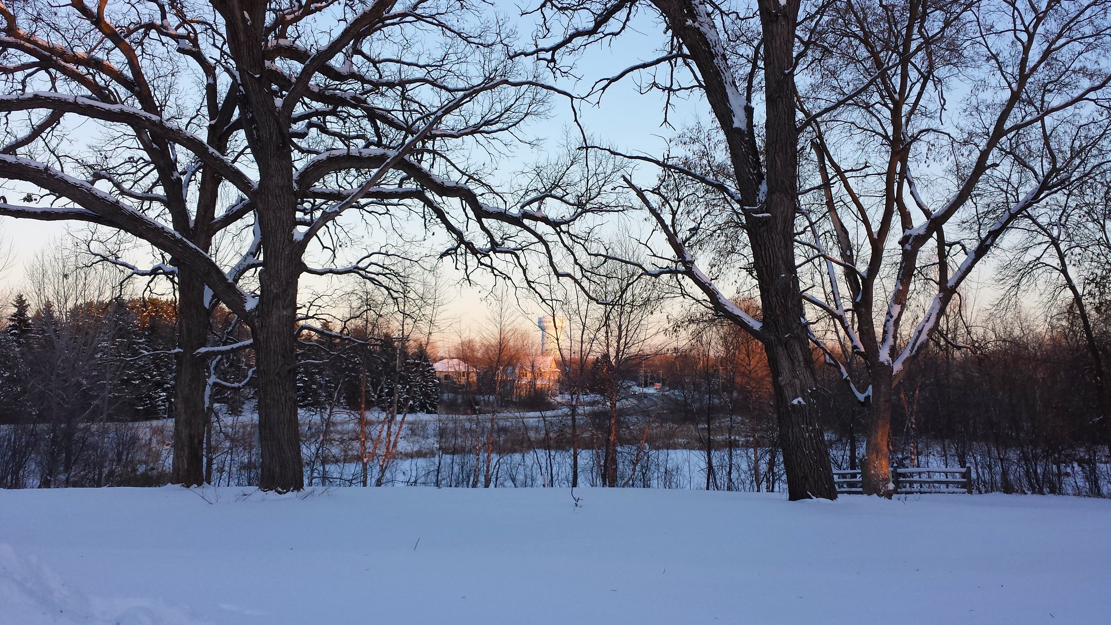 Rice Creek Off-Leash Dog Area dog park in Shoreview, MN
