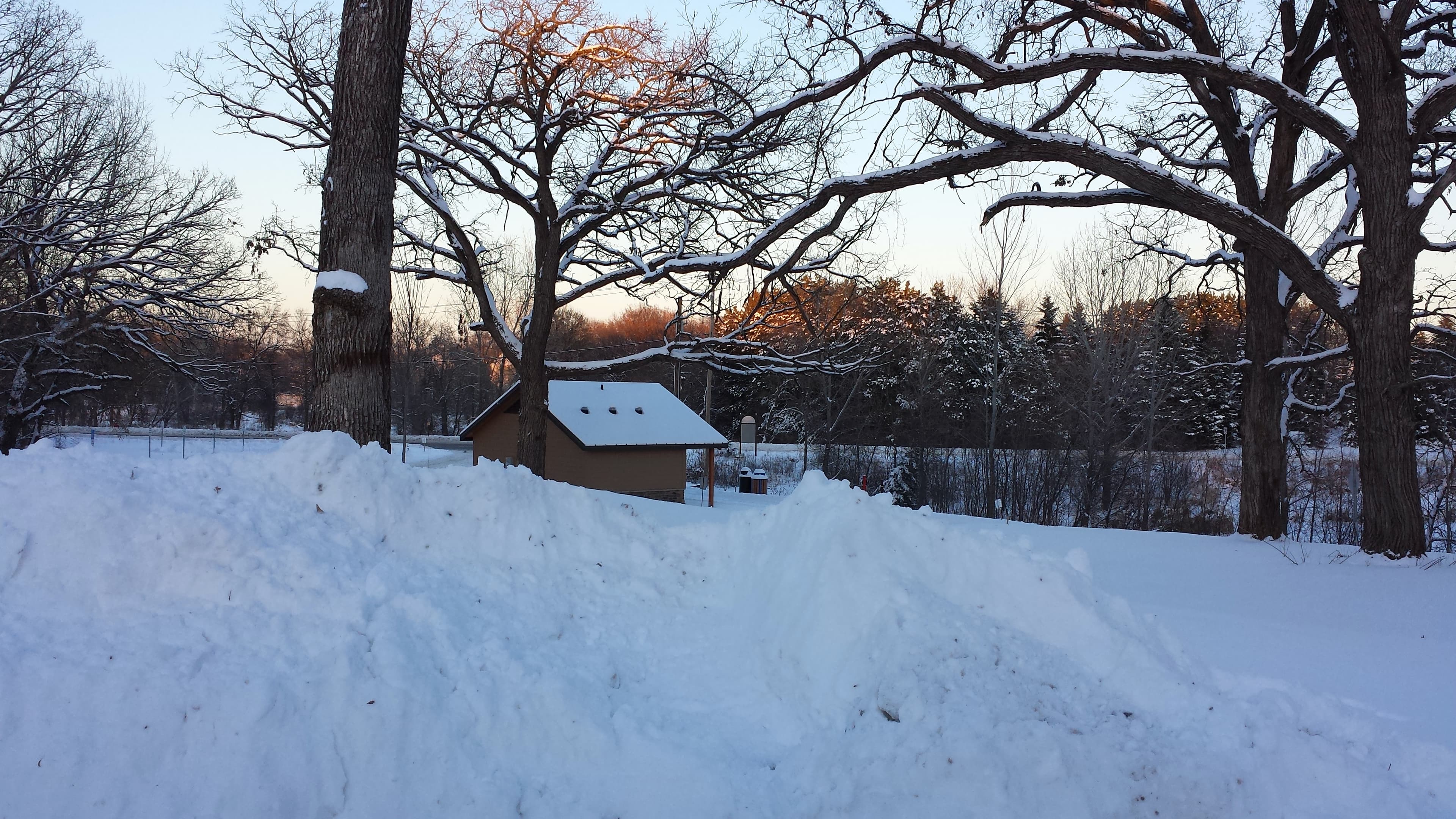 Rice Creek Off-Leash Dog Area dog park in Shoreview, MN — photo 2