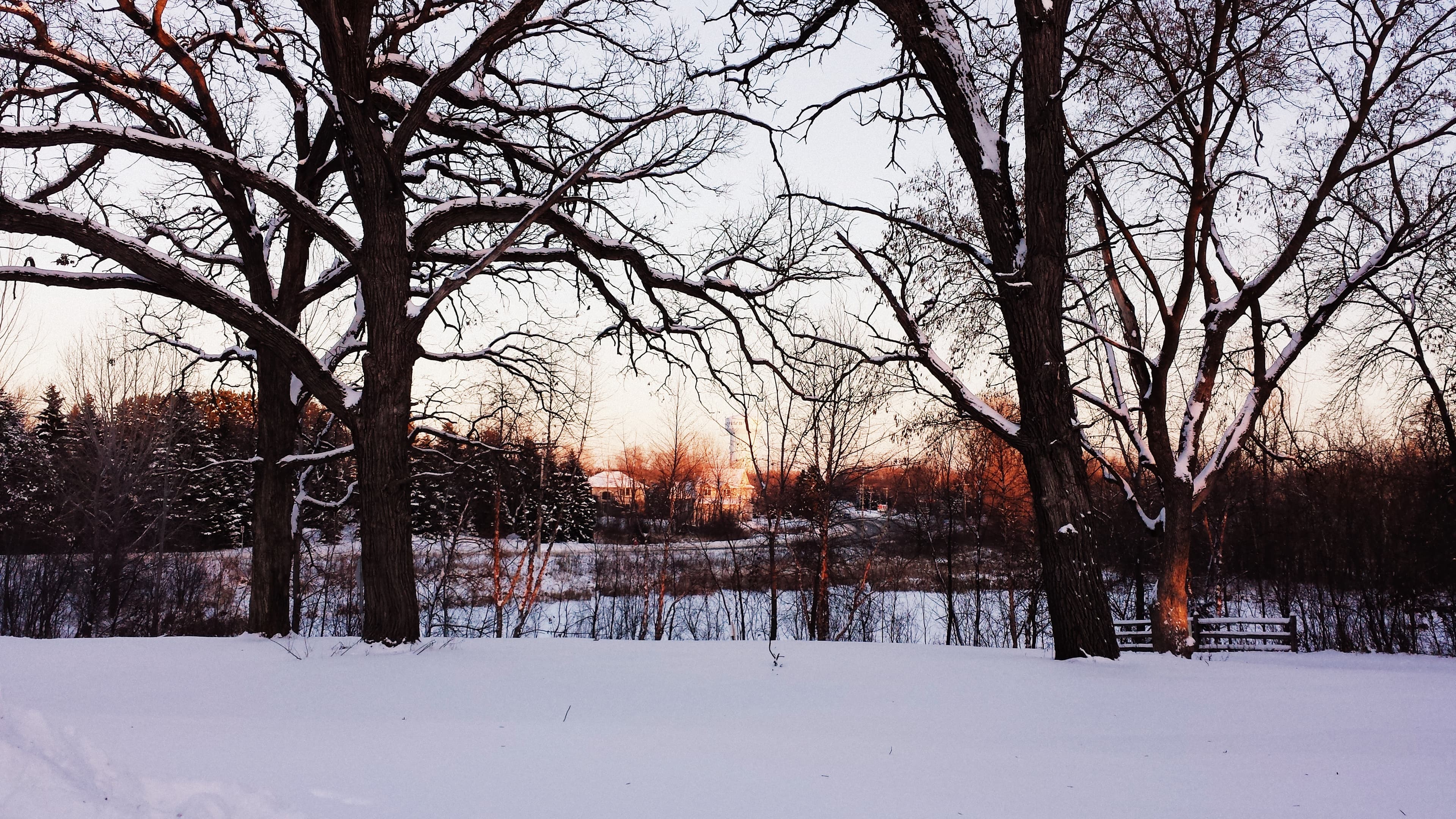 Rice Creek Off-Leash Dog Area dog park in Shoreview, MN — photo 3