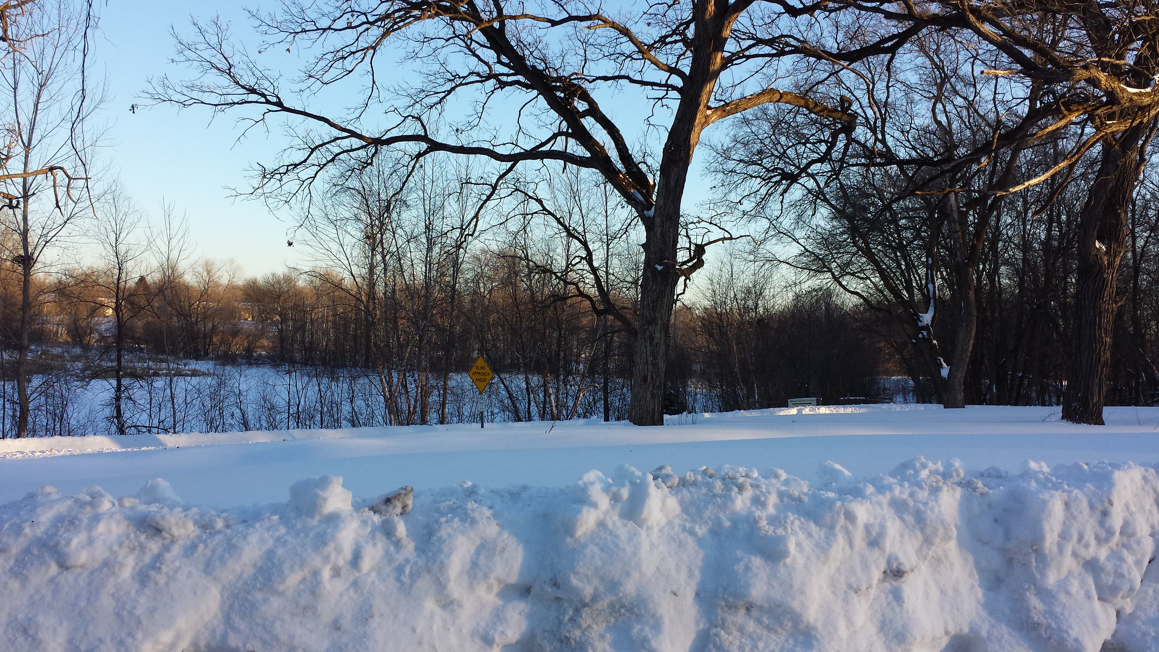 Rice Creek Off-Leash Dog Area dog park in Shoreview, MN — photo 4