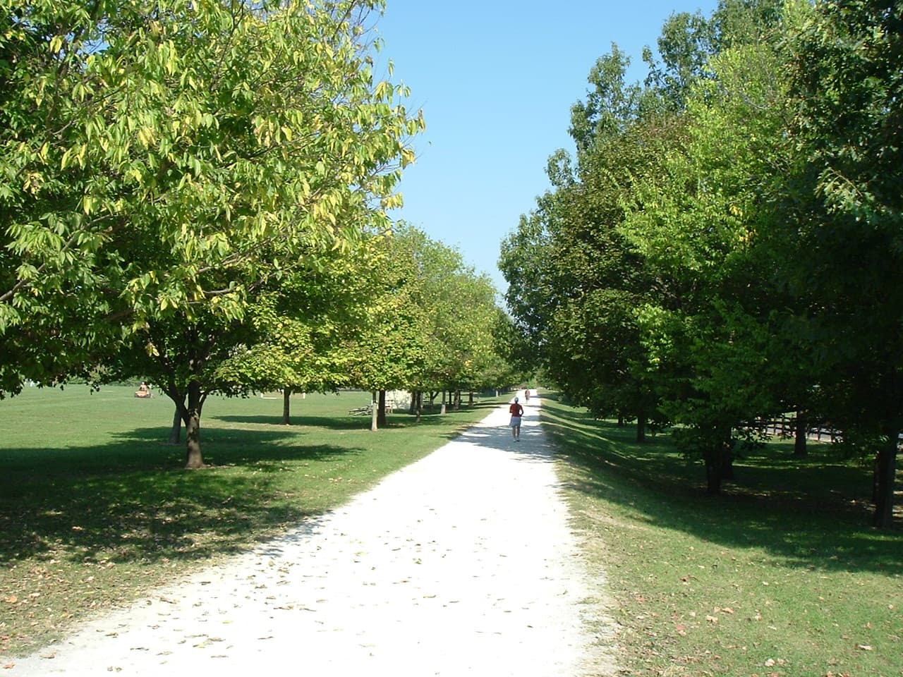 Sawyer Dog Park at E.P. Tom Sawyer State Park dog park in Louisville, KY