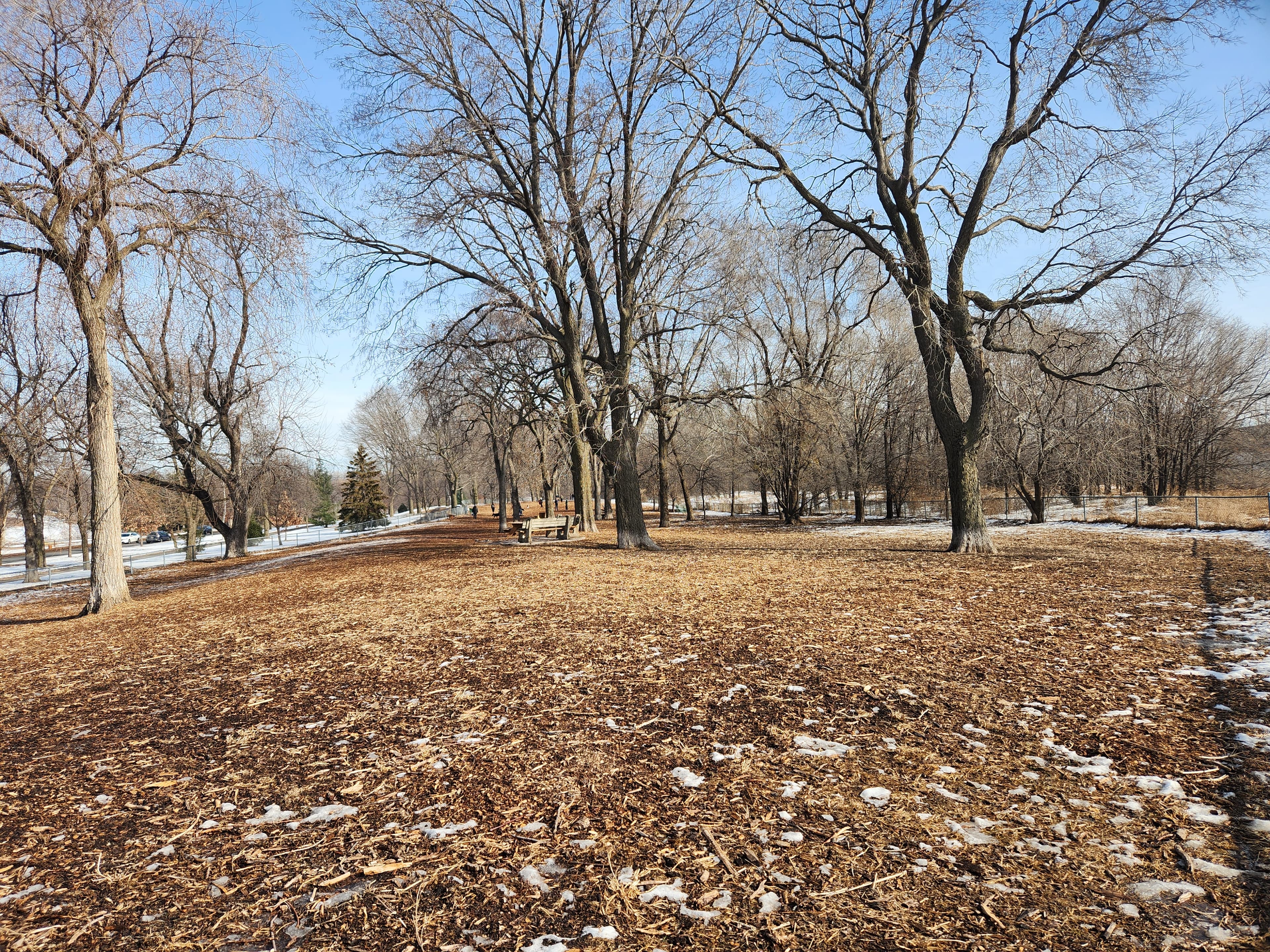 St. Anthony Parkway Off-Leash Recreation Area dog park in Minneapolis, MN — photo 2