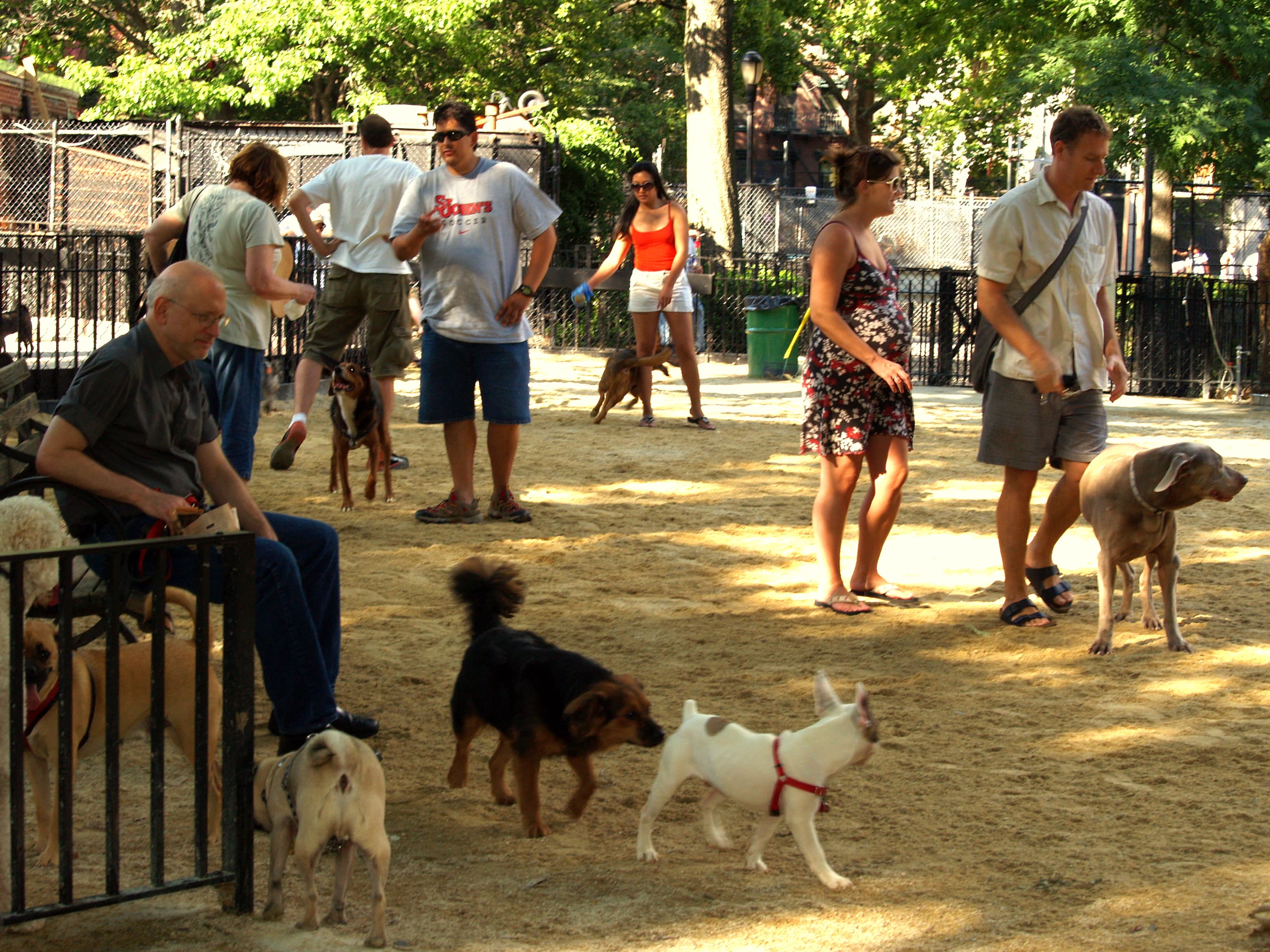 Tompkins Square Dog Run dog park in New York, NY — photo 2