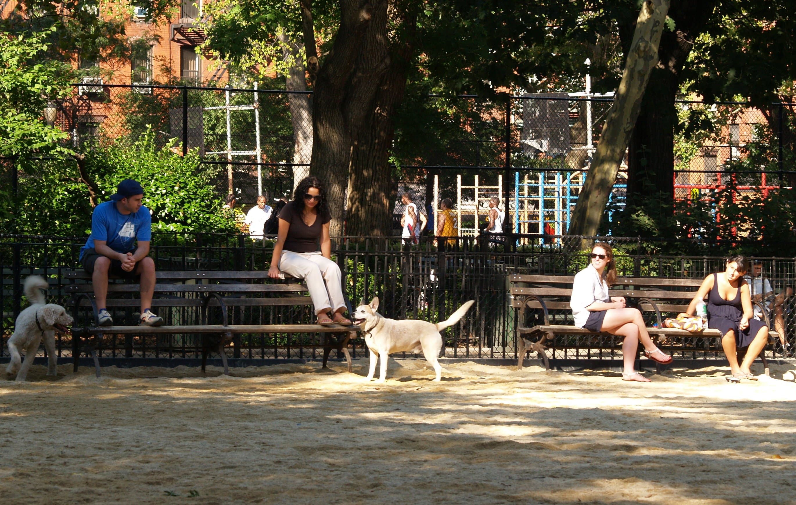 Tompkins Square Dog Run dog park in New York, NY — photo 3