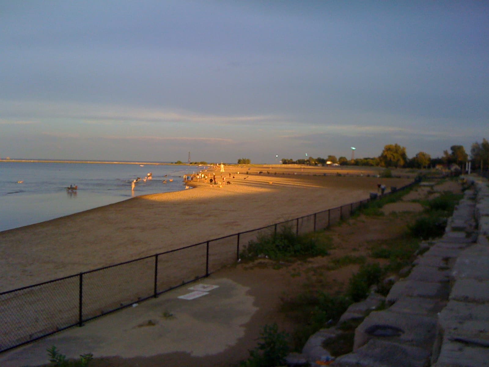Ward Dog Friendly Area dog park in Chicago, IL