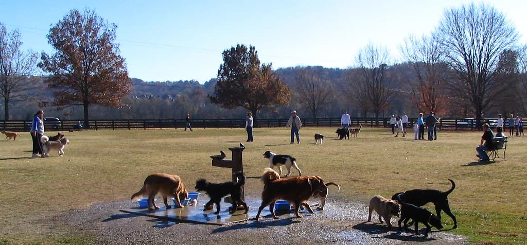 Warner Dog Park dog park in Nashville, TN
