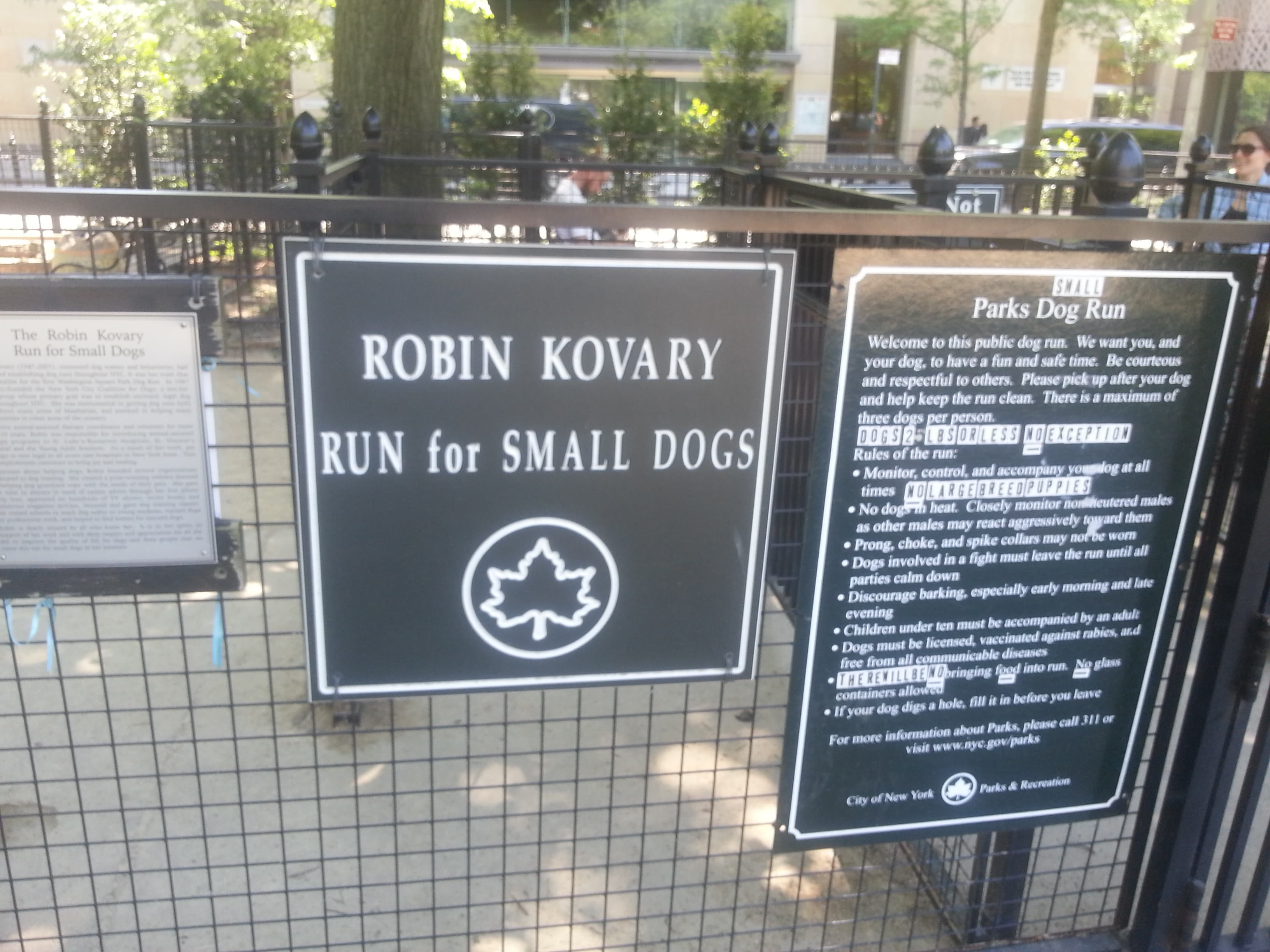 Washington Square Park Dog Run dog park in New York, NY — photo 2