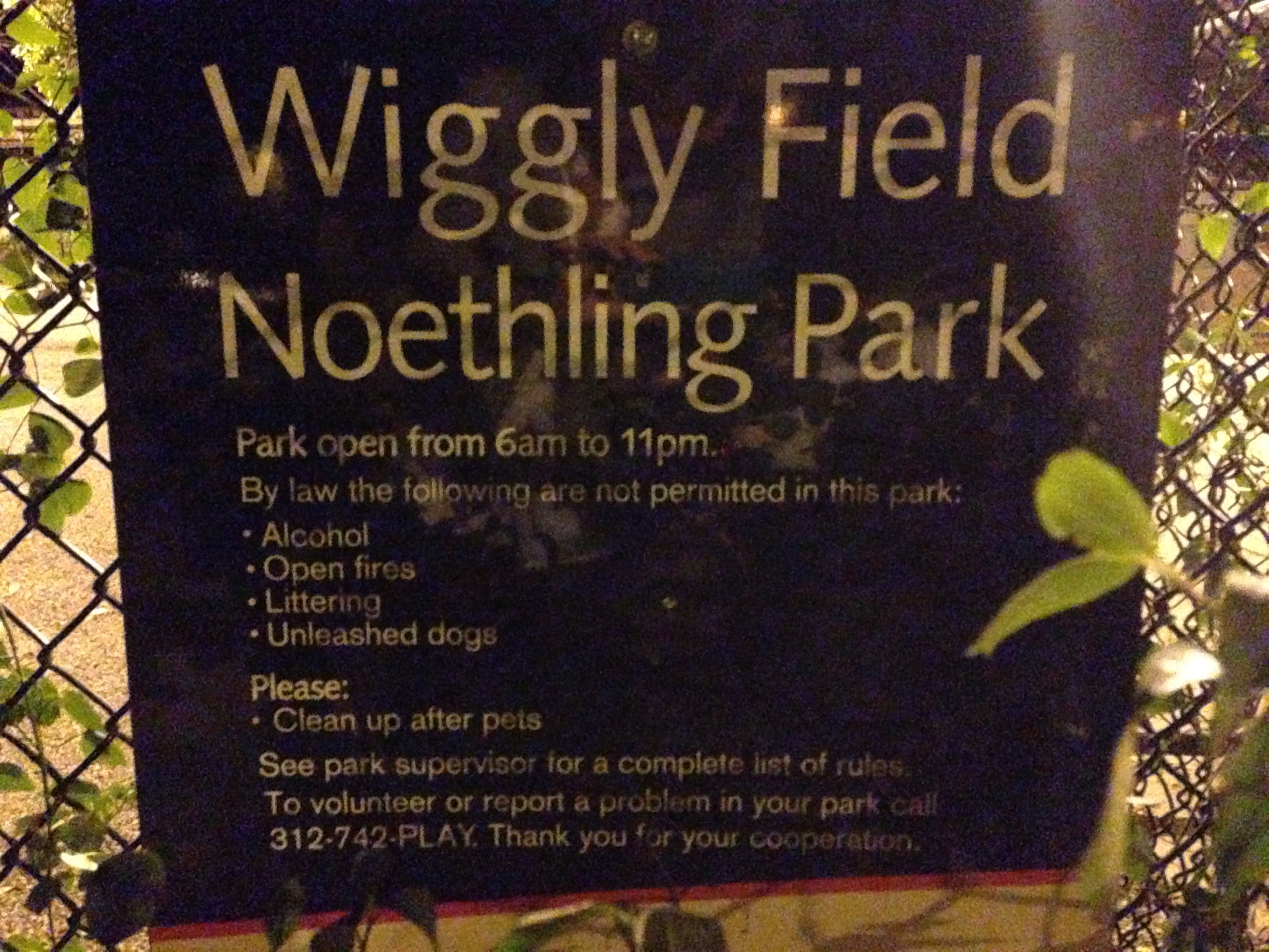 Wiggly Field dog park in Chicago, IL — photo 2